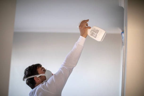 Best Attic Mold Removal  in Tillson, NY