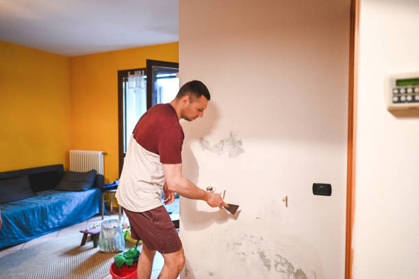 Best Certified Mold Removal  in Tillson, NY